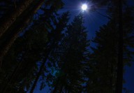 НЕВЕСТА, СПА-КОМПЛЕКС, ПАМПОРОВО НЕДВИЖИМОСТЬ В БОЛГАРИИ